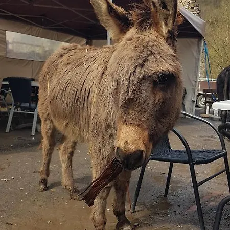 O'blanche, Viroinval Chalet