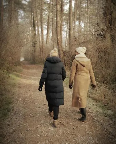 O'blanche, Viroinval Chalet Treignes