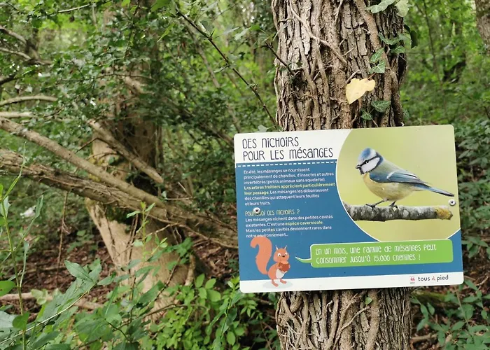 O'blanche, Viroinval