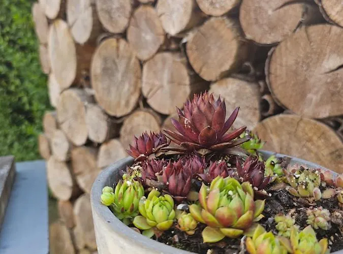 Chalet O'blanche, Viroinval *