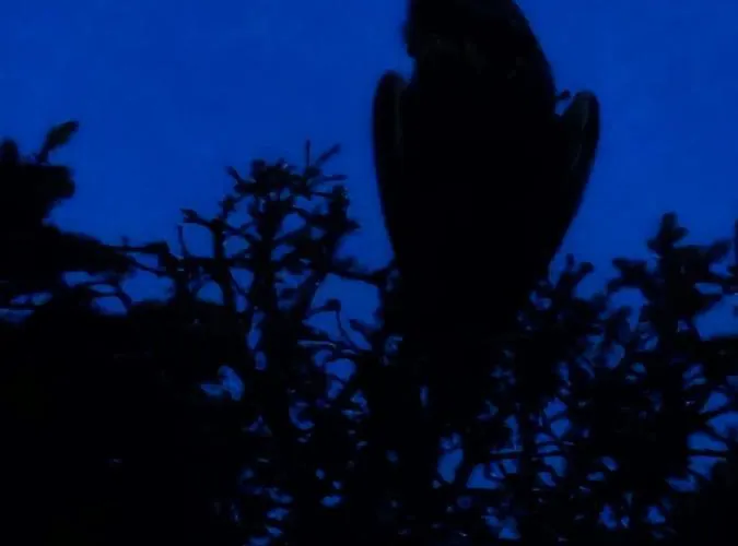 O'blanche, Viroinval