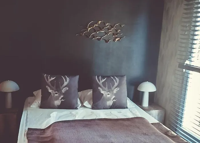 Chalet O'blanche, Viroinval Treignes